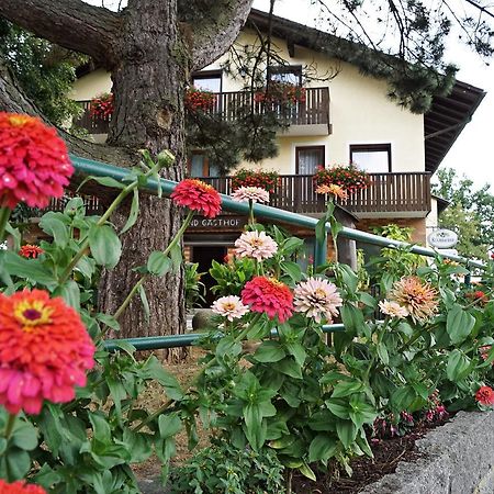 Hotel-Landgasthof Henghuber Rötz Extérieur photo